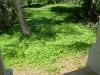 <VLUU L730  / Samsung L730>