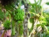 DSC01165
