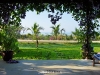 DSC01169