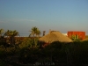 FH010035