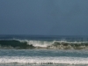 IMG00061