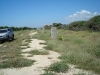 tamarindo_1