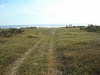 tamarindo_10