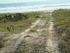 tamarindo_5_to_beach