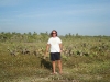 tamarindo_8_from_beach