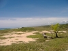 beach-lot3