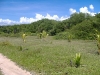 beach-lot4