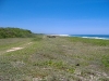 beach-lot6