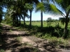 lot2