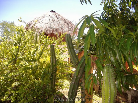 Rancho El Macahuite hidden paradise.jpg