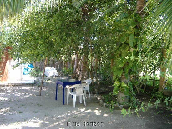 Rancho El Macahuite shady place.jpg