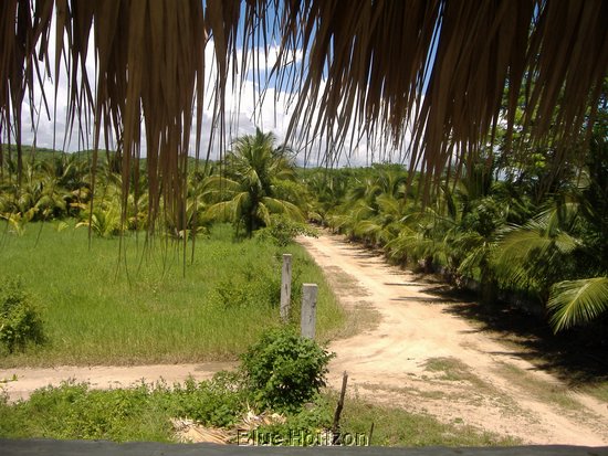 Rancho El Macahuite way to highway.jpg