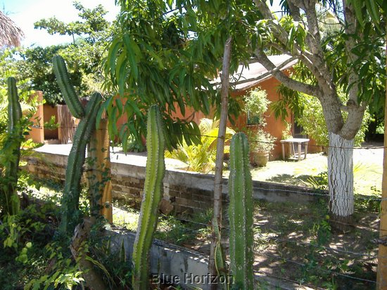 Rancho El Macahuite.jpg