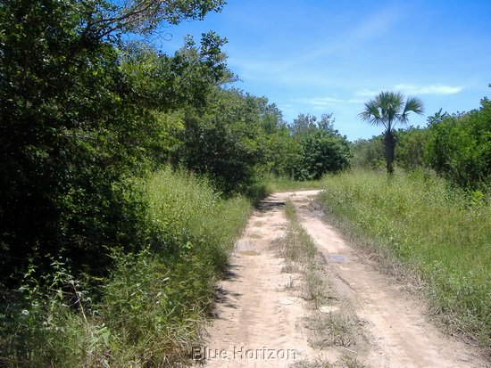 way to beach2.jpg