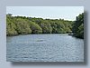 Lagoon w crocodile.jpg