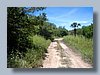 way to beach2.jpg
