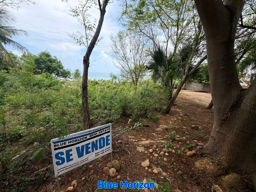 category Image