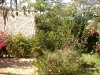 Casa Manuel view into garden