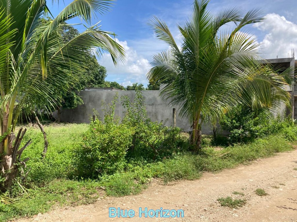 Corner Lot Barra, FOR SALE. Only steps from the beach! Blue Horizon